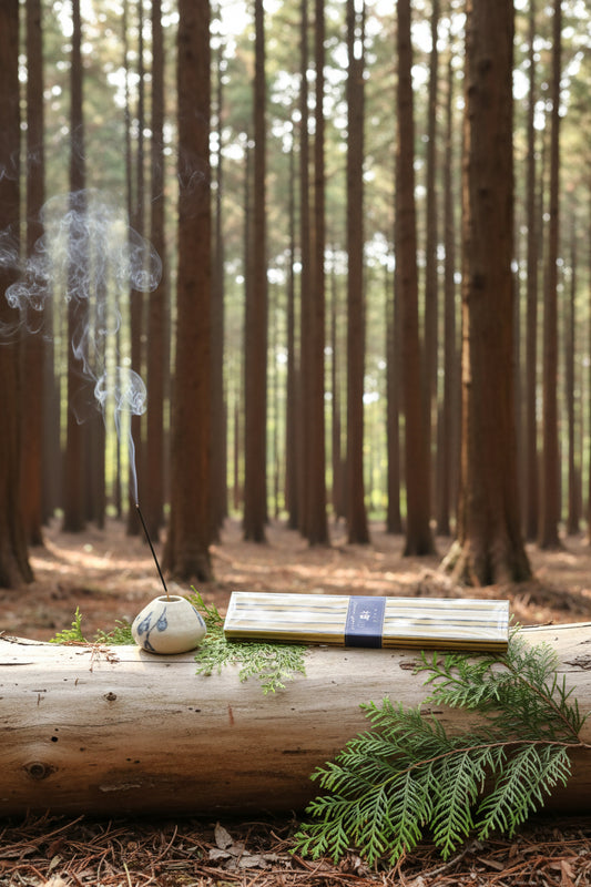 Incenso Giapponese Nippon Kodo Kayuragi Japanese Cypress Cipresso Giapponese in una foresta sacra di cipressi - Erboristeria La Clessidra Carpi