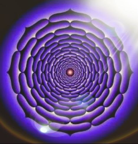 TUTTO SETTIMO CHAKRA