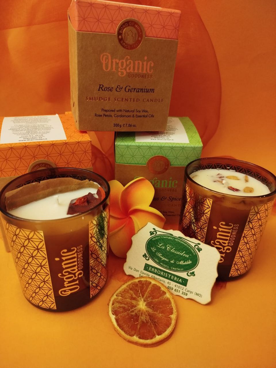 CANDELA SONG OF INDIA ORGANIC