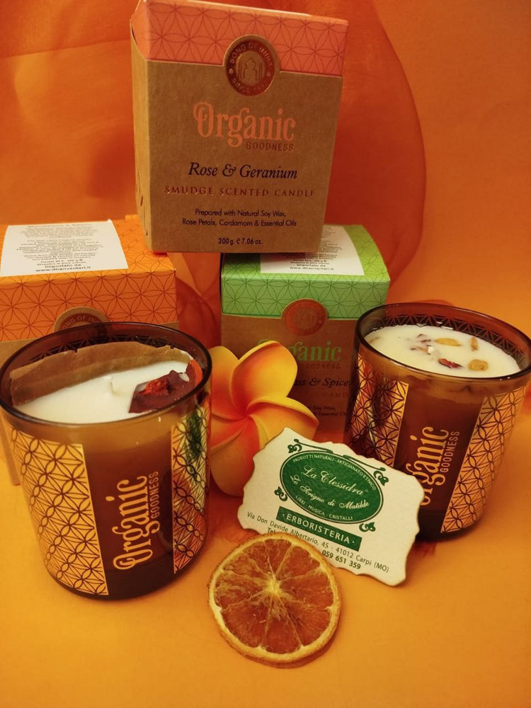 CANDELA SONG OF INDIA ORGANIC
