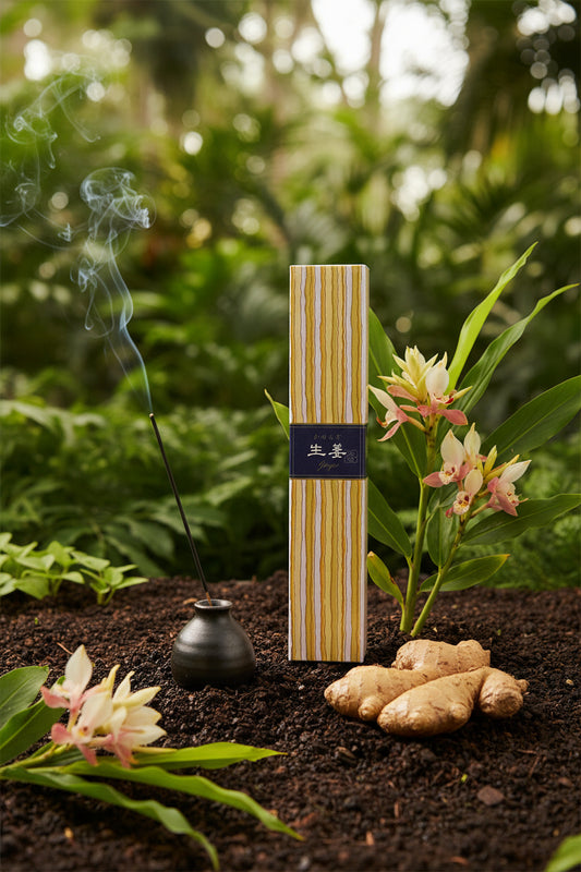 Incenso Giapponese Nippon Kodo Kayuragi Ginger Zenzero in un giardino botanico con radici fresche  e fiori di zenzero - Erboristeria La Clessidra Carpi