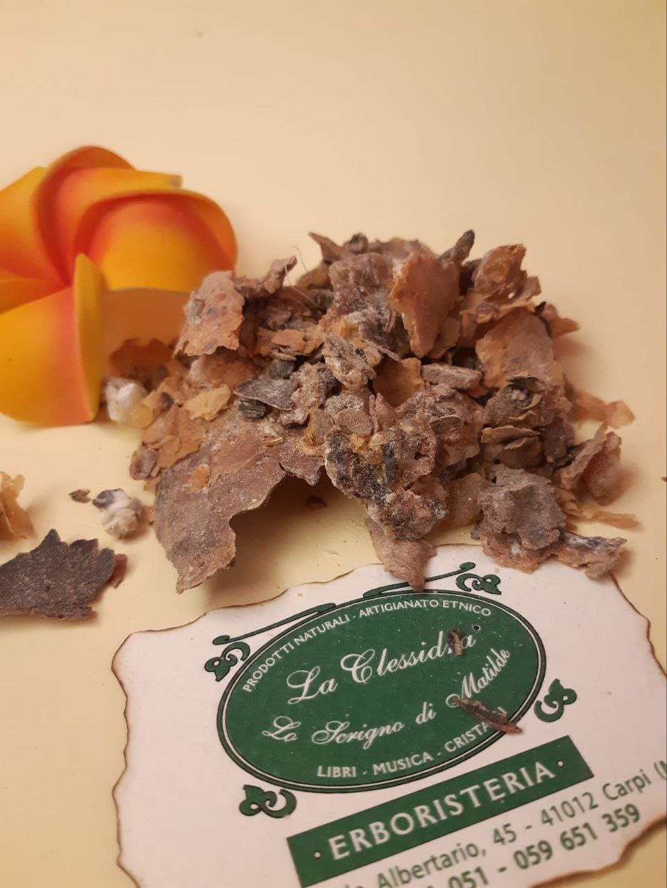 INCENSO IN GRANI: OLIBANO MIGIURTINO (Boswellia Frereana)