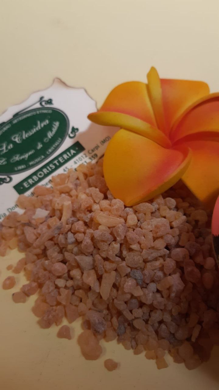 INCENSO IN GRANI: OMAN (Boswellia Sacra)