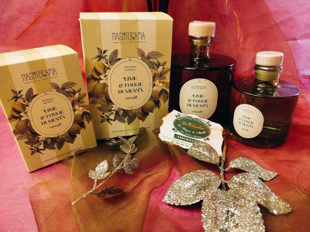 DIFFUSORE A BASTONCINO NASOTERAPIA: LIME E FOGLIE DI MENTA 500 ML