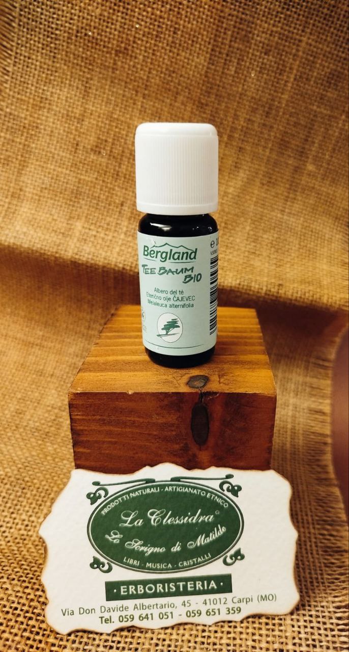 OLIO ESSENZIALE: TEA TREE (MELALEUCA ALTERNIFOGLIA) ALBERO DEL TE