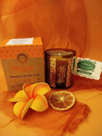 CANDELA SONG OF INDIA: MANDARINO E ALLORO